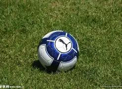 賽季中超聯,提前結束,足協杯明年,万博manbetx体育平台,万博体育官网,万博体育app下载,ManBetX,SPORTS