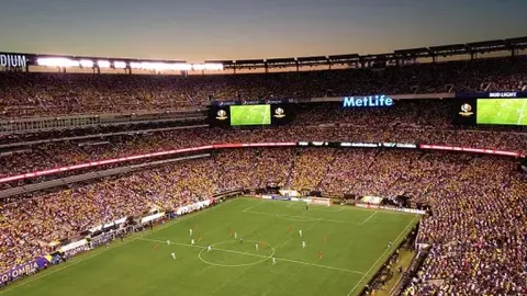 万博manbetx体育平台